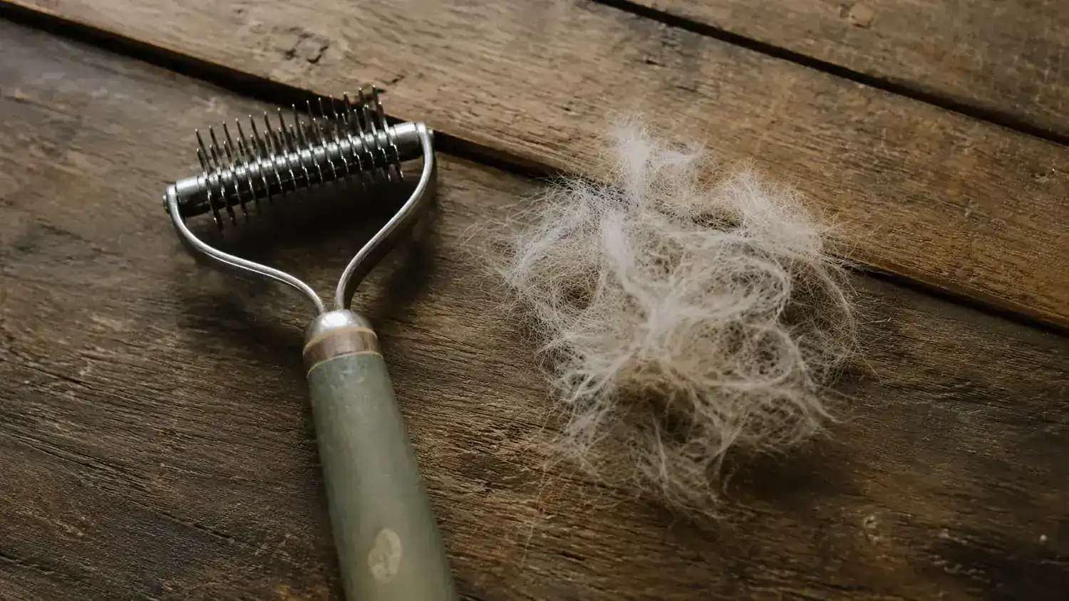 Maxpower Grooming Rake: Honest Review From a Double-Dog Household